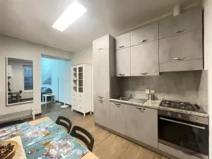 Pronájem bytu 2+kk, Praha - Žižkov, Cimburkova, 43 m2