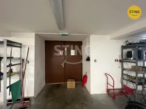 Pronájem skladu, Mankovice, 750 m2