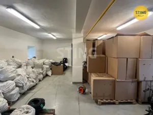 Pronájem skladu, Mankovice, 750 m2