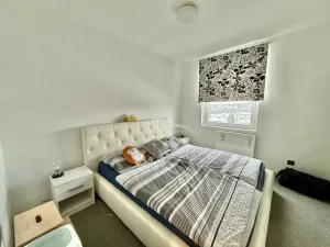 Pronájem bytu 3+1, Jihlava, S. K. Neumanna, 74 m2