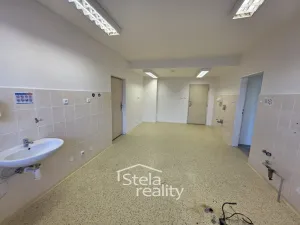 Pronájem ordinace, Bruntál, Šmilovského, 86 m2