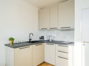 Pronájem bytu 1+kk, Praha - Michle, Bítovská, 25 m2