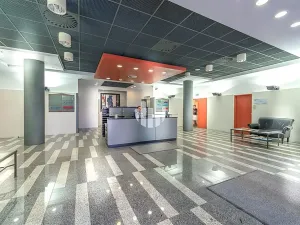 Pronájem obchodního prostoru, Praha - Holešovice, Na Maninách, 360 m2