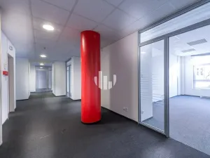 Pronájem obchodního prostoru, Praha - Holešovice, Na Maninách, 360 m2