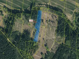 Dražba lesa, Vilice, 3593 m2