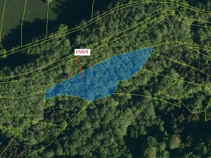 Dražba lesa, Valašská Polanka, 2632 m2