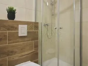 Pronájem bytu 1+1, Brno, Koliště, 24 m2