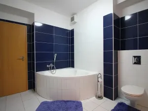 Pronájem bytu 2+kk, Brno, Purkyňova, 60 m2