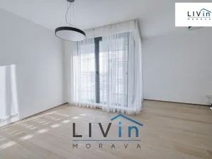 Pronájem bytu 2+kk, Olomouc, Ostrovní, 65 m2