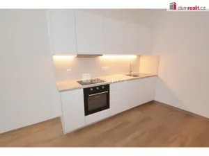 Pronájem bytu 2+kk, Praha - Vinohrady, Mrštíkova, 57 m2