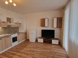 Pronájem bytu 1+kk, Plzeň, Jesenická, 32 m2