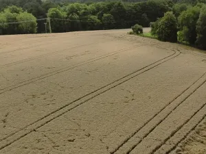 Prodej pole, Vyskeř, 3681 m2