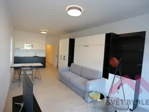 Pronájem bytu 1+kk, Praha - Karlín, U Mlýnského kanálu, 40 m2