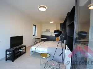 Pronájem bytu 1+kk, Praha - Karlín, U Mlýnského kanálu, 40 m2