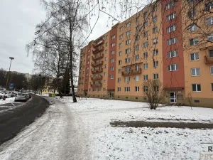 Pronájem bytu 1+kk, Havířov, Karolíny Světlé, 24 m2