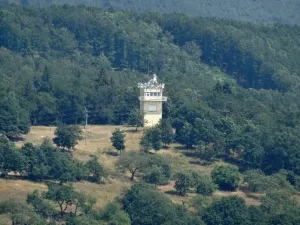 Prodej pozemku pro bydlení, Zlobice, 828 m2