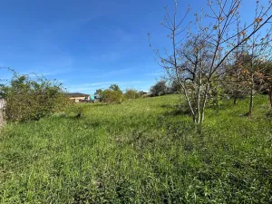 Prodej pozemku pro bydlení, Zlobice, 828 m2