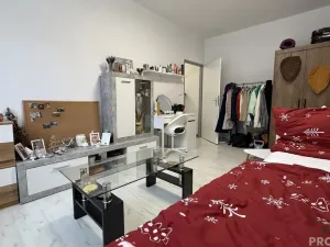 Pronájem bytu 1+1, Havířov, 17. listopadu, 36 m2