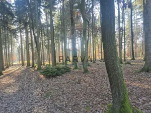 Pronájem bytu 3+1, Praha - Chodov, Láskova, 71 m2