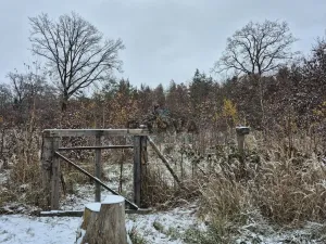 Pronájem bytu 3+1, Praha - Chodov, Láskova, 71 m2