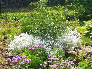 Prodej zahrady, Kroměříž, Kaplanova, 529 m2