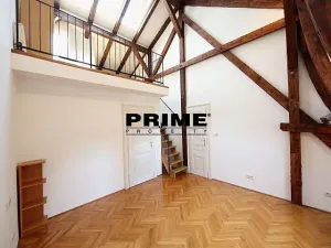 Pronájem bytu 4+1, Praha - Vinohrady, Ibsenova, 282 m2