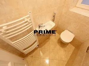 Pronájem bytu 6+kk a větší, Praha - Nové Město, Záhořanského, 265 m2