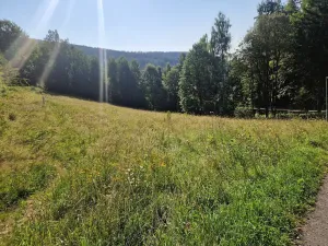 Prodej pozemku pro bydlení, Dolní Dvůr, 2600 m2