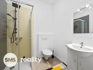 Pronájem bytu 2+kk, Brno, Čejkova, 52 m2