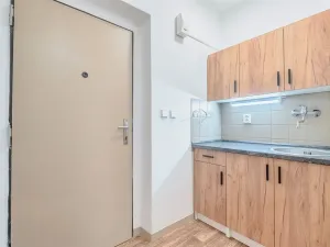Pronájem bytu 1+kk, Prostějov, Kotěrova, 29 m2