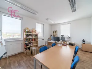 Prodej výrobních prostor, Těmice, 2178 m2