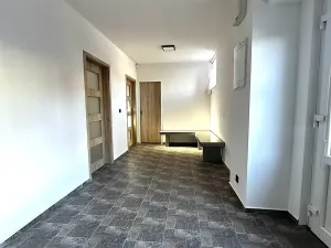 Pronájem bytu 4+kk, Plchov, 120 m2