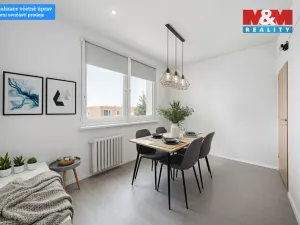 Prodej bytu 2+1, Ústí nad Labem - Střekov, Novoveská, 60 m2