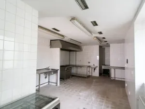 Pronájem restaurace, Sokolov, Karla Havlíčka Borovského, 490 m2