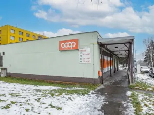 Prodej bytu 3+1, Jílové, Lipová, 80 m2