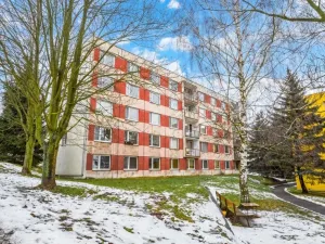 Prodej bytu 3+1, Jílové, Lipová, 80 m2