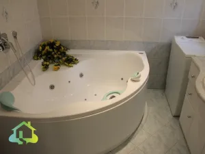 Pronájem rodinného domu, Nižbor - Stradonice, 350 m2