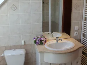 Pronájem rodinného domu, Nižbor - Stradonice, 350 m2