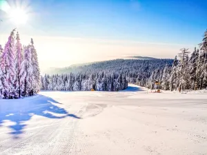 Prodej apartmánu, Červená Voda - Mlýnický Dvůr, 180 m2