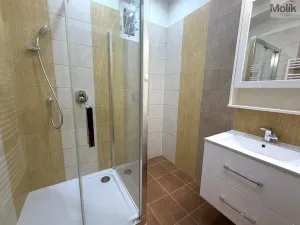 Pronájem bytu 2+1, Teplice, J. V. Sládka, 78 m2