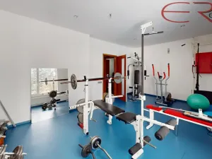 Prodej rodinného domu, Mladá Boleslav - Chrást, 206 m2