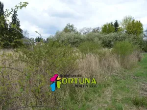 Prodej pozemku pro bydlení, Hvozdnice, 5887 m2