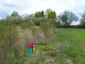 Prodej pozemku pro bydlení, Hvozdnice, 5887 m2