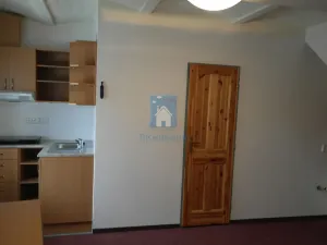 Pronájem bytu 1+kk, Plzeň, V Úhlu, 20 m2