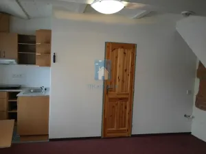 Pronájem bytu 1+kk, Plzeň, V Úhlu, 20 m2