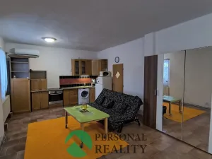 Pronájem bytu 1+kk, Kamenné Zboží, 50 m2