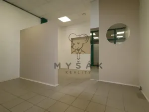 Pronájem obchodního prostoru, České Budějovice - České Budějovice 3, Pražská tř., 24 m2