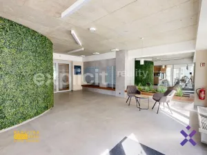 Pronájem bytu 1+kk, Zlín, Nad Stráněmi, 34 m2