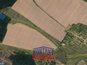 Prodej lesa, Otín, 4352 m2