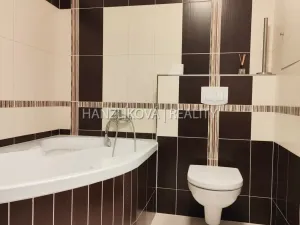 Pronájem bytu 2+kk, České Budějovice - České Budějovice 2, Volejbalistů, 52 m2